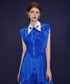 Blue Bird Flare Dress